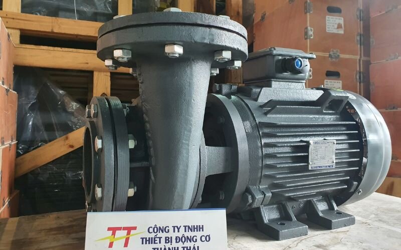 Các thương hiệu motor bơm nước 2Hp nổi tiếng