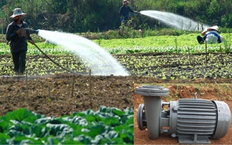 Nguyên lý hoạt động của máy bơm nước tưới vườn