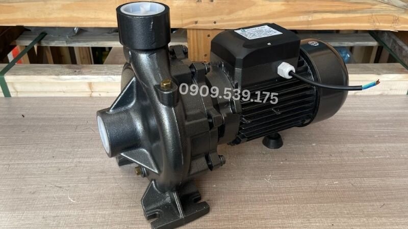 Máy bơm nước 1.5Hp hiệu suất cao bền bỉ tại Thành Thái Motor.