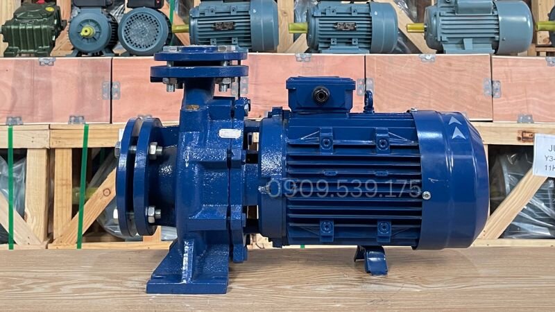 Máy bơm nước bền bỉ tiết kiệm điện tại Thành Thái Motor.