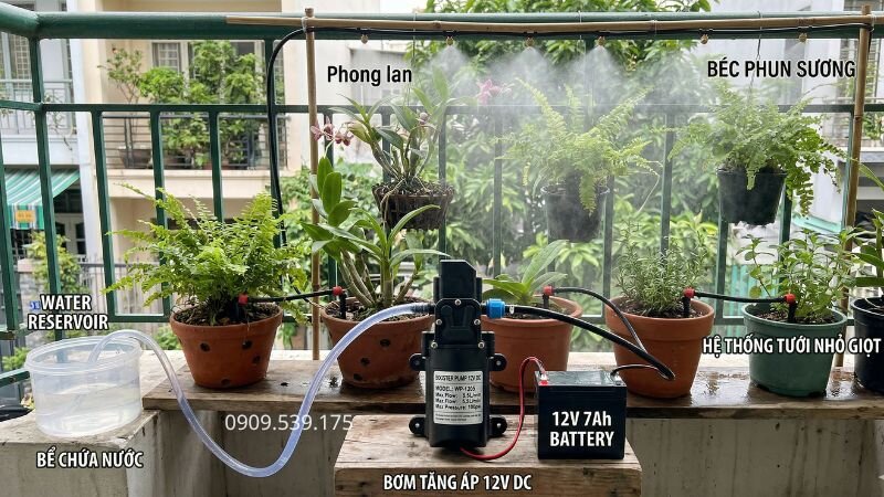 Bơm tăng áp 12v sử dụng tưới tiêu phun sương