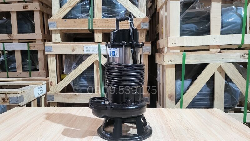 Máy bơm chìm 0.55kW 0.75Hp chính hãng tại Thành Thái Motor.