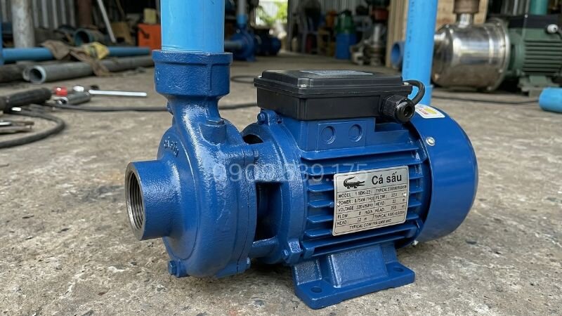 Máy bơm nước cá sấu 1DK-16 i 0.37kW 0.5Hp tại Thành Thái Motor