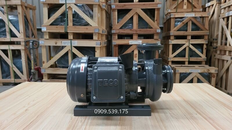 Máy bơm nước Teco 0.75kw 1Hp