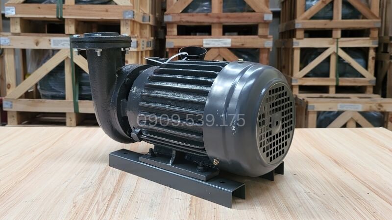 Máy bơm nước Teco 2.2kW 3Hp chính hãng.